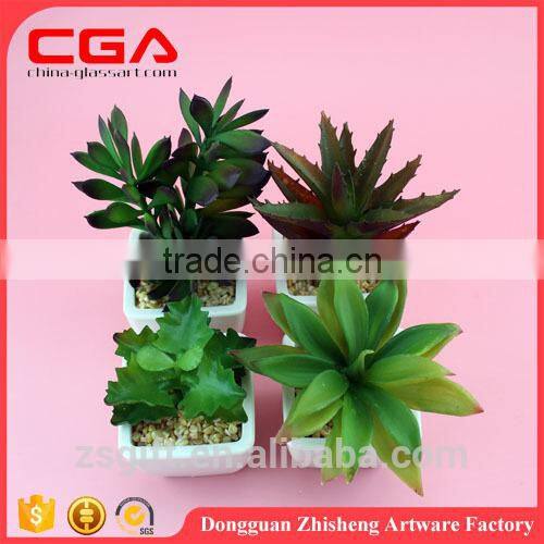 Artificial Artificial succulent plants tropical plants Plastic emulation succulent plant