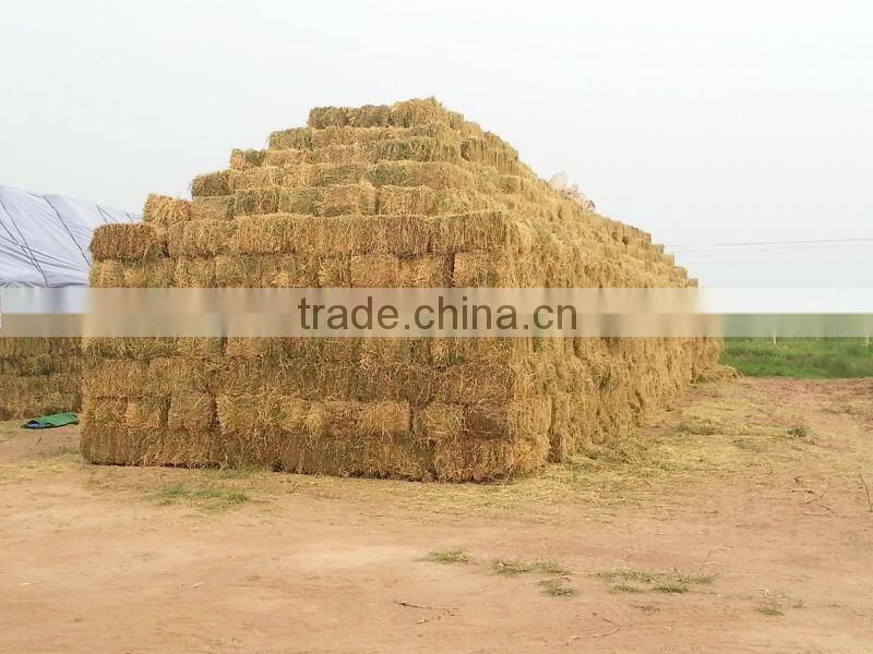 baler equipment for sale