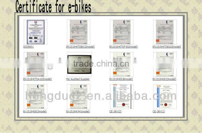 electric three wheel bike for old people