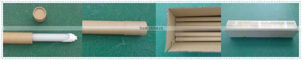 Best selling T5 LED tube light 2ft 4ft ,1200mm led tube G5 base