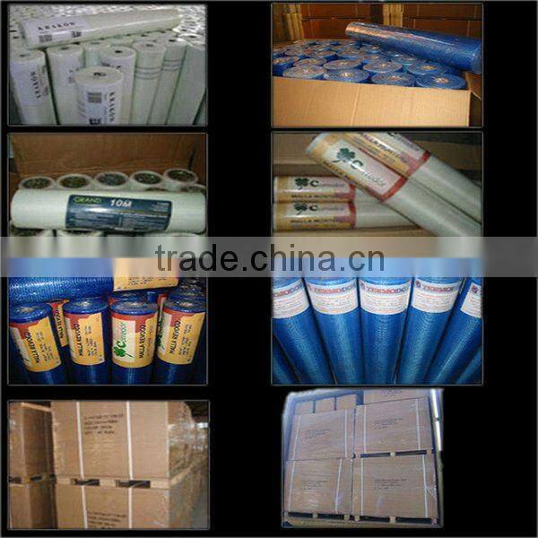 4*4 160g Fiberglass net for out wall