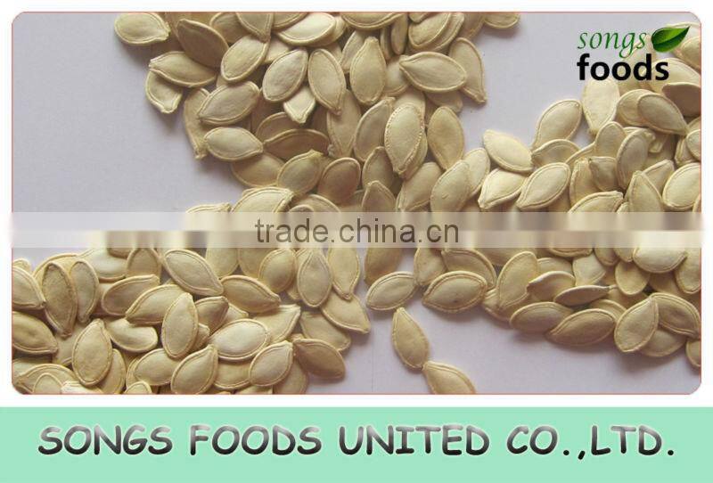 Bulk Shine Skin Pumpkin Seeds In Stock 11CM,12CM,13CM