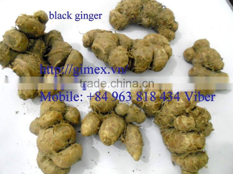 High Quality fresh black Ginger