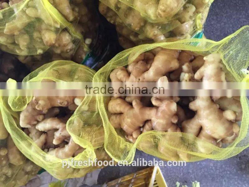 Specification fresh ginger/specification dry ginger