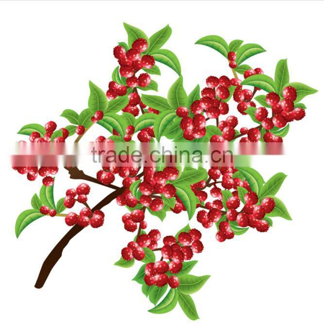 China wholesale cayenne pepper best selling products in europe