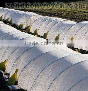 high quality pp non-woven fabric