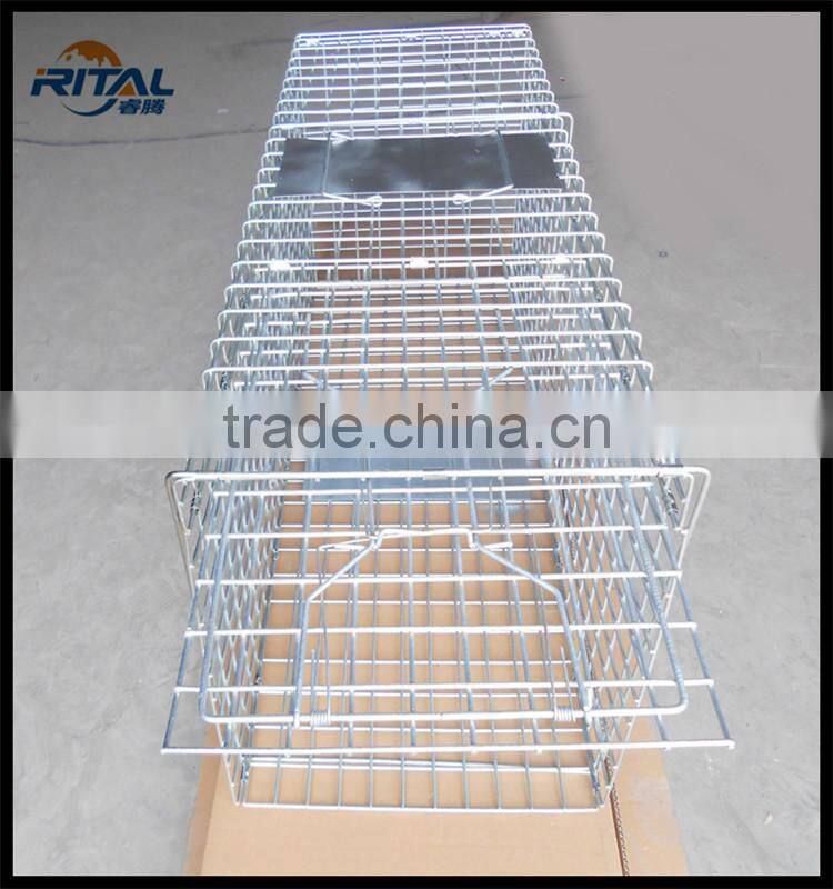 Factory supply new model Eco-friendly Mouse Squirrel Trap