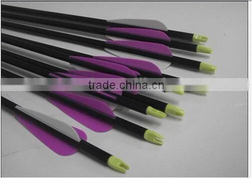 beautiful carbon arrow