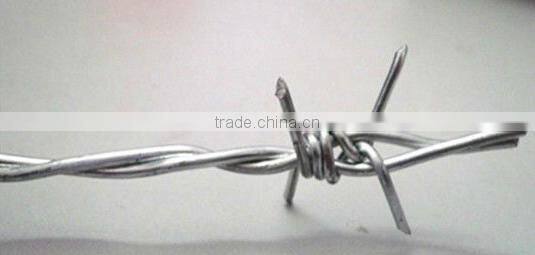 Stainless steel barbed wire