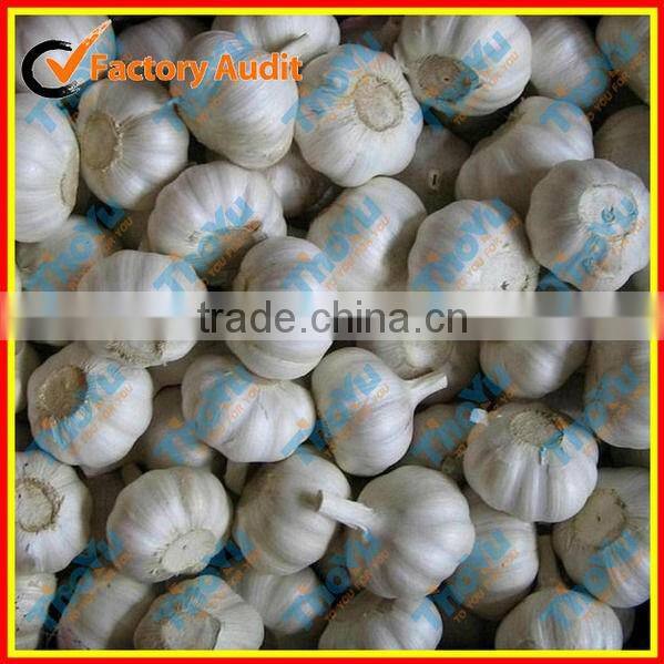 2014 New type Electric fresh garlic root cutting machine/garlic root cutter(SMS:0086-15837162163)