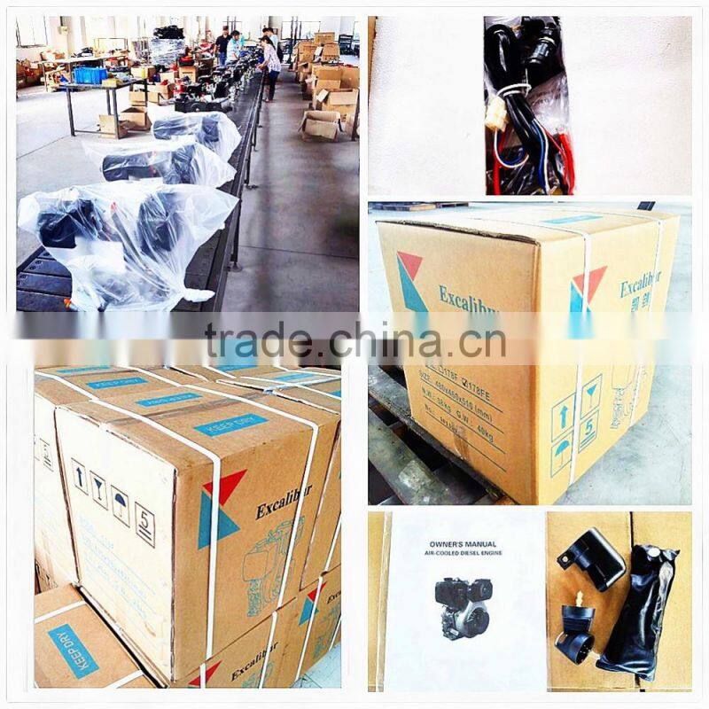 Excalibur Air Cooled Single Cylinder China 178F Diesel Engine