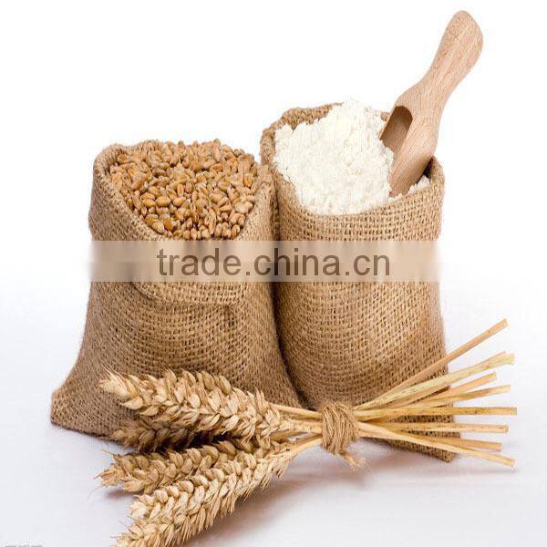 Latest style and low price wheat flour mill plant