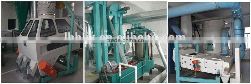 low price wheat flour mill machine /plant