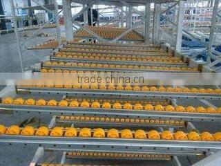 ESD plastic sliding roller track for carrying and flow rack