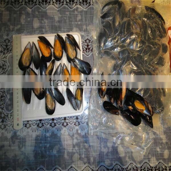 Boiled Mussel Meat(500-700)