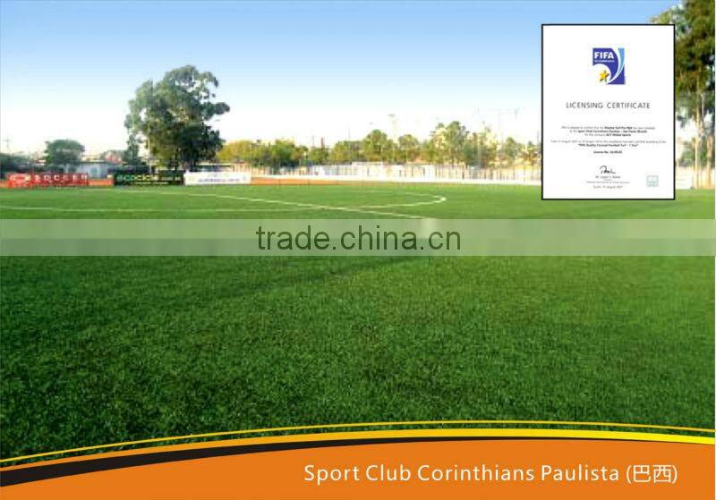 Artificial Turf Project in South America