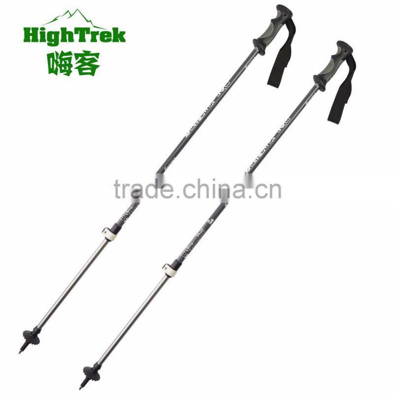 2 hours replied alpine ski pole