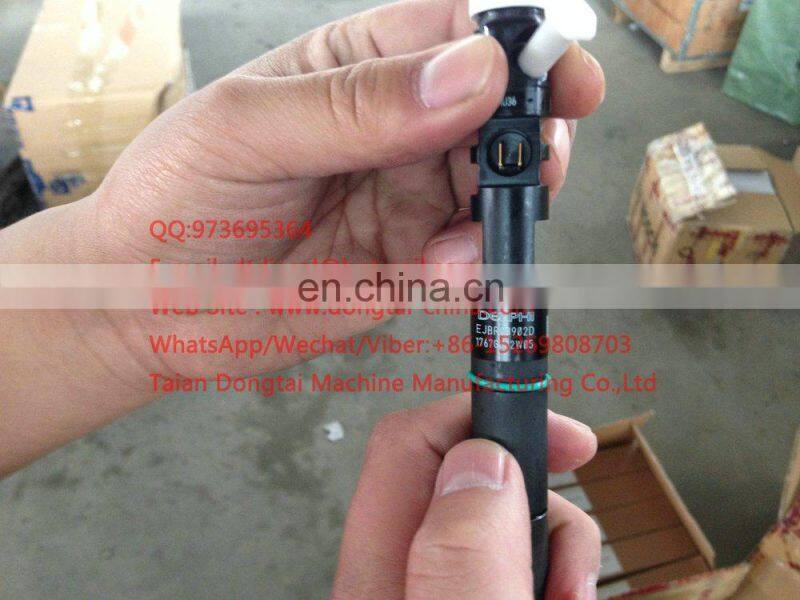 Genuine & New Common Rail Injector EJBR03902D EJBR03901D for Carnival Euro IV 33800-4X400