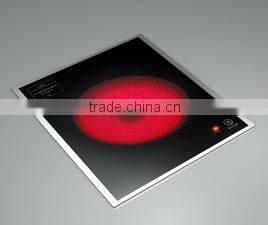 hot offer borosilicate fireplace glass door