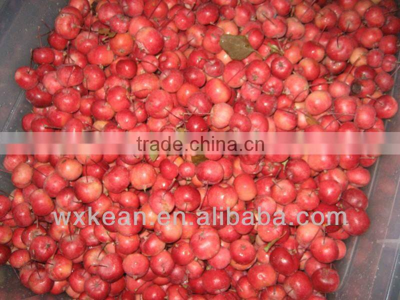 Hot sale automatic fruit and vegetable beating machine