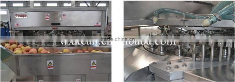 Hot sale banana chips expanded system manufactured in Wuxi kaae