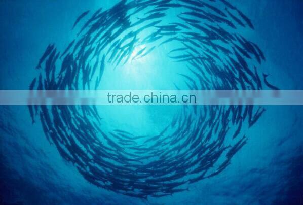 2015 top selling submersible white green LED fishing lamp