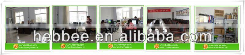 bee hive for beekeeping