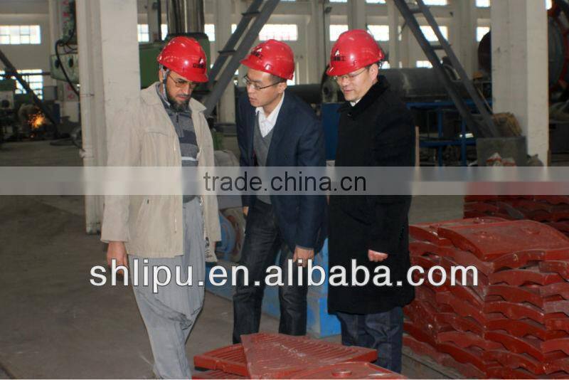 Professional Pulse Dust Collector Manufacturer From Shanghai Lipu