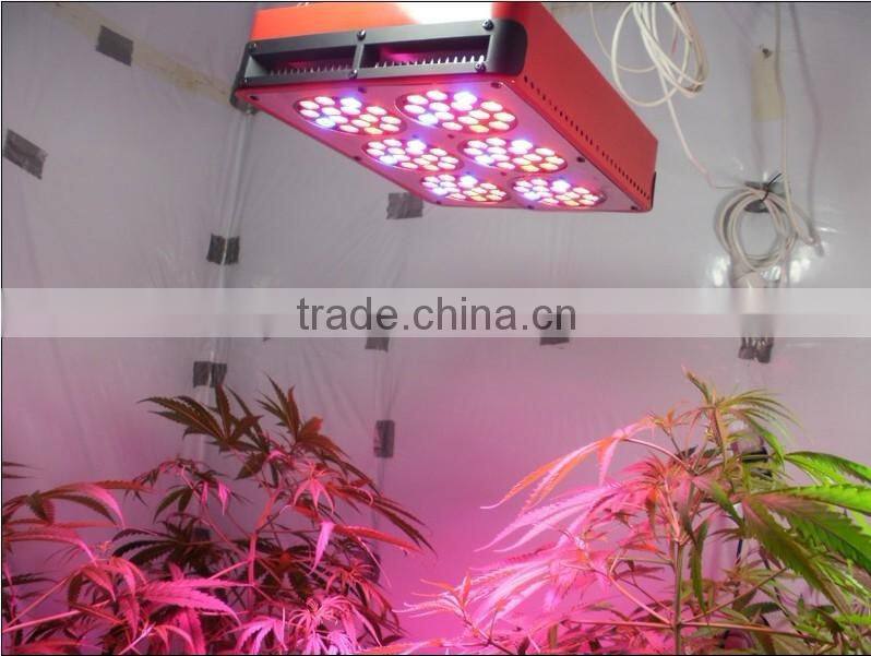 Wholesale grow light apollo series made in China