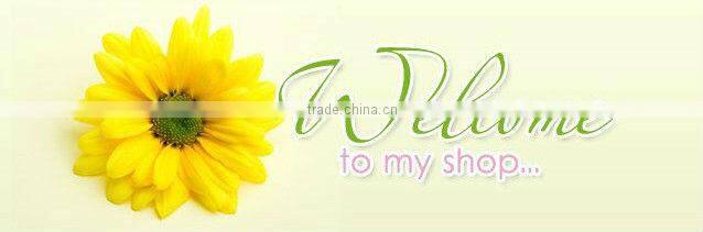 stainless steel double wall mini watering cans