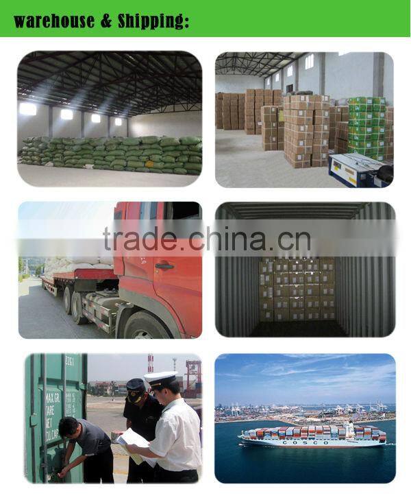 Chinese green tea for Mauritania tea wholesale 41022AAA