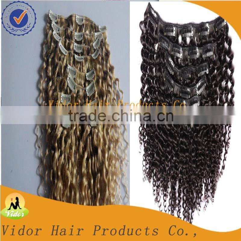 Unprocessed Virgin Brazilian Full Cuticle Afro Kinky Curly Clip On Hair Extension