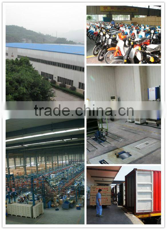 2013 New Model Cheap 250cc Dirt Bike KAMAX X200