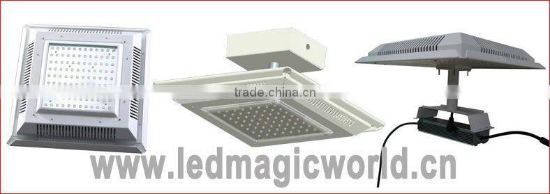 LED High Bay Lamp Canopy Light