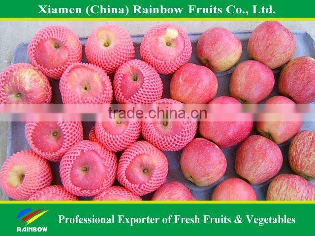 wholesale fruit prices