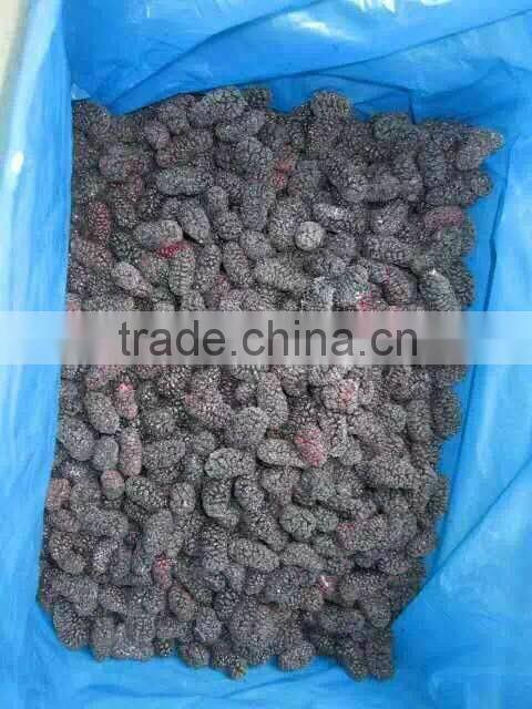 2016 Hot sale IQF mulberry