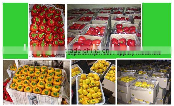 red capsicum