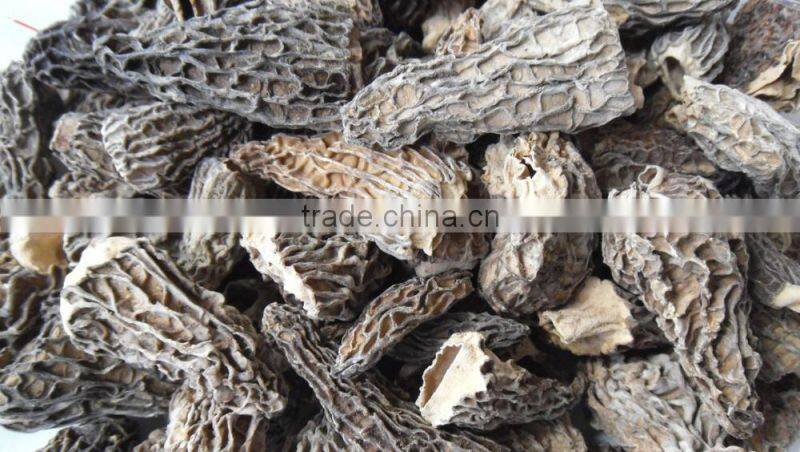 Shiyan Wild dried Morel Mushrooms Best Price