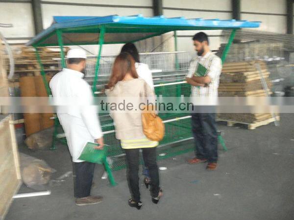 Poultry Farming Chicken Cage System