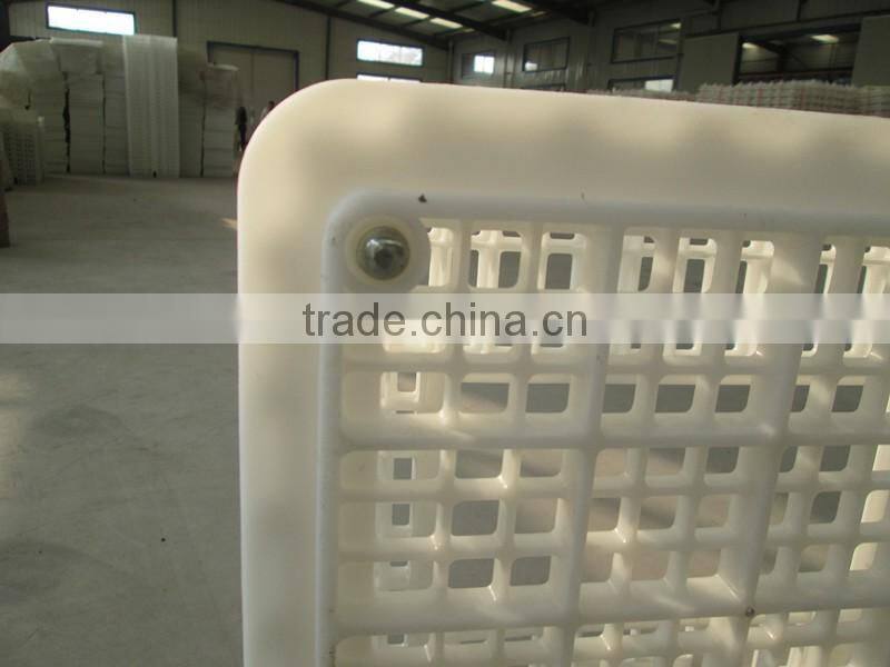 chicken transport trays