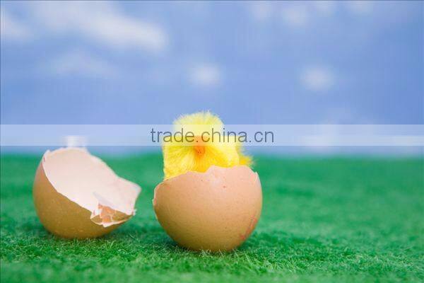 Digital automatic egg quail solar power egg incubator chicken incubator prices India