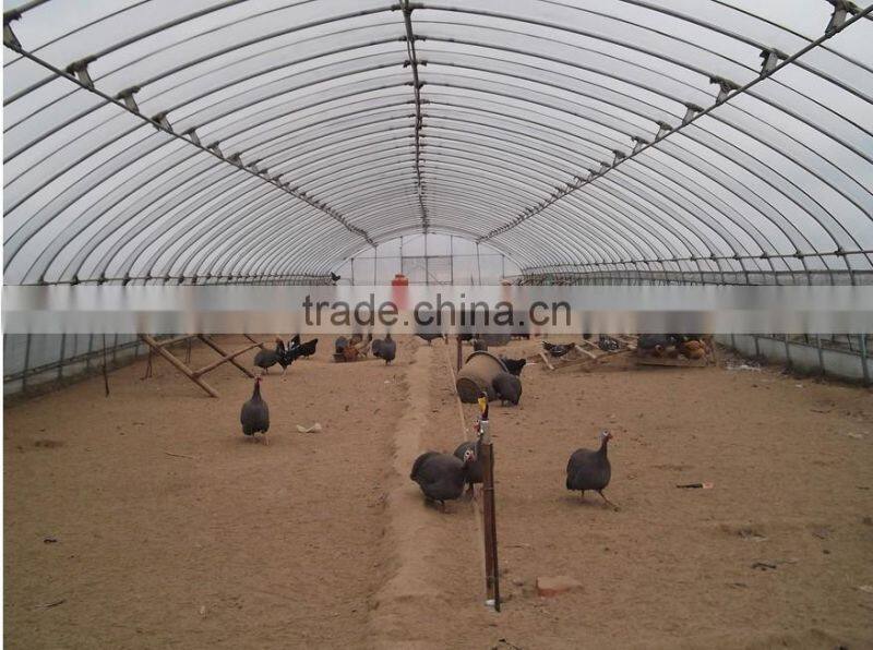 Fire retardant chicken greenhouse ,chicken house ,fiberglass chicken shed