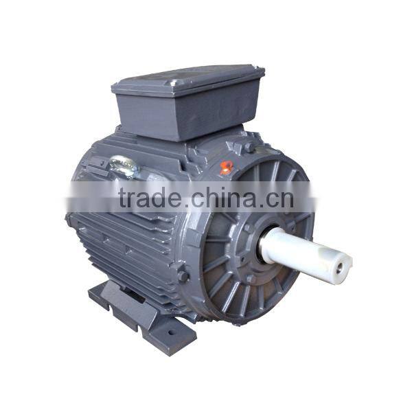 6 Pole IE2 Standard Synchronous Speed Cast Iron Three Phase Electric Motor