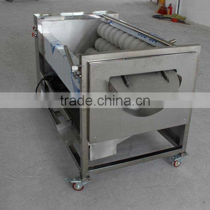 industrial brush type vegetable and fruit washing machine