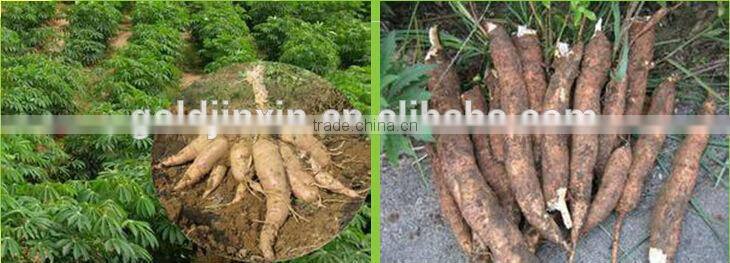 100 ton cassava flour processing machine