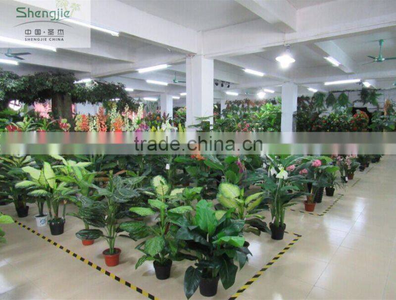 SJ12001162 Name potted decorative foliage plant plastic plant indoor