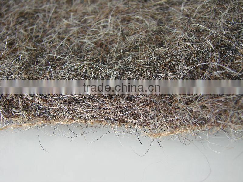 Popular and Elasticity Needled Horse hair with jute mattress