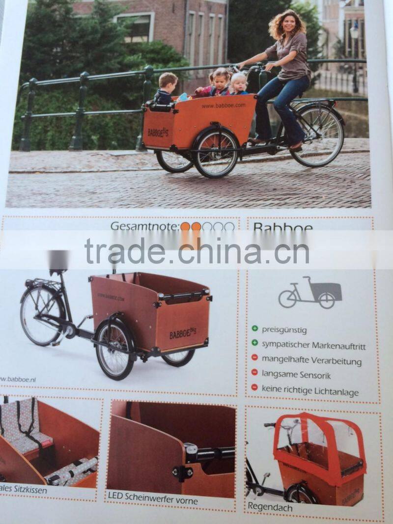 Electric tricycle bikes