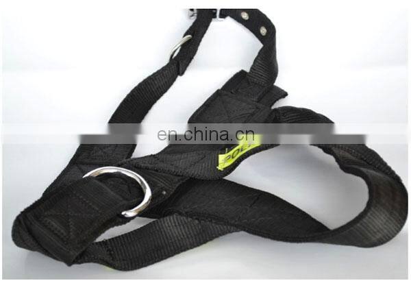 Pet head traction band pet strap band factory
