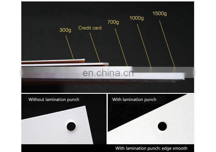 custom die cut clothing label hang tags